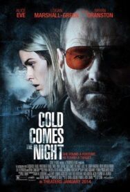 Постер к фильму Взгляд зимы смотреть онлайн на HD Rezka
